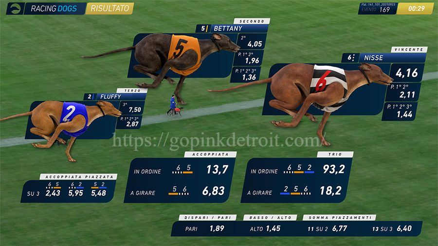 Read more about the article Virtual Dog Racing: Aksi Cepat dan Peluang Besar dalam Setiap Putaran
